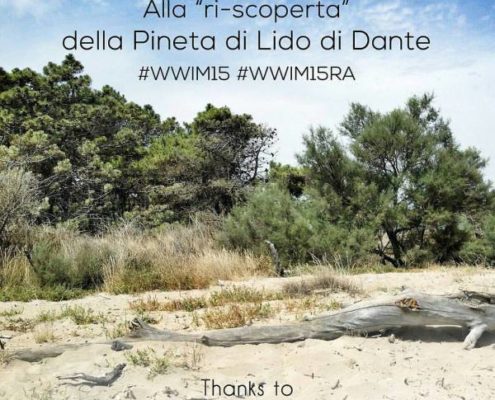 Pineta di Lido di Dante Worldwide Instameet - News La Piramide