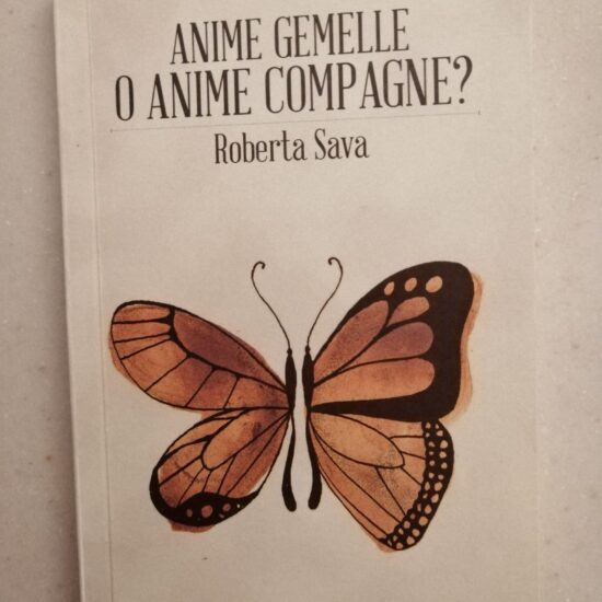 Anime Gemelle o Anime Compagne da Virgi