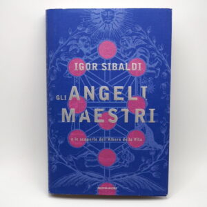 Gli Angeli Maestri