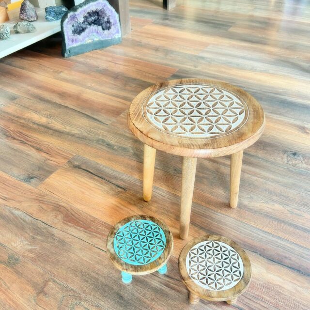 Sono arrivati i cuccioli 😗
Oltre ai tavolini, da oggi disponibili le alzatine in legno con fiore della vita 
:
🤩
:
#lapiramidecristallina #Ravenna #shopforyoursoul #holistic #stonetherapy #crystalove #healingcrystals #igersravenna #igersemiliaromagna #cristalloterapia #crystaltherapy #crystalover #booklover #healingstones #gems #minerals #lapiramideravenna #shotz_of_emiliaromagna #ᴍᴇᴛᴀᴘʜʏsɪᴄᴀʟ