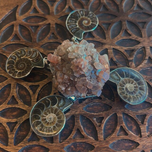 L’ammonite è una pietra fossile affascinante, che racchiude in sé milioni di anni di storia terrestre.
Esteticamente, colpisce per la sua forma a spirale perfetta, simbolo universale di evoluzione, crescita e continuità.
Come fossile, rappresenta la capacità di evolvere e rigenerarsi. È legata ai cicli della vita, della morte e della rinascita, aiutando ad accettare i cambiamenti e a trarne forza.
.
La sua origine dalla terra antica la rende una pietra di connessione profonda con la terra e con le memorie ancestrali. Secondo alcune tradizioni, l’ammonite concentra e fa circolare l’energia vitale come un vortice, portando armonia e chiarezza spirituale ✨💎
La spirale  è un richiamo potente ai modelli universali della natura: le galassie, i vortici d’acqua, il DNA. È una guida visiva e spirituale verso l’equilibrio tra movimento e quiete, tra il centro interiore e il mondo esterno.🌀
.
.
.
#ammonite #fossile #energiaancestrale #lapiramidecristallina #Ravenna #shopforyoursoul #holistic #stonetherapy #crystalove #healingcrystals #igersravenna #igersemiliaromagna #cristalloterapia #crystaltherapy #crystalover #booklover #healingstones #gems #minerals #lapiramideravenna #shotz_of_emiliaromagna